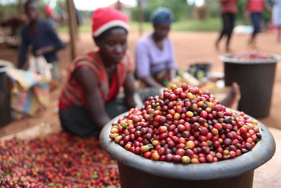 A container full of coffee beans; in the background women sit on the ground with more beans spread on the ground