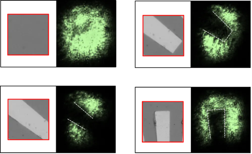 Only Invis Particles Seeing the invisible: tiny crystal films could make night vision an ...