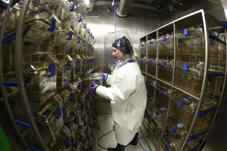 A virologist stands between rows of cages for laboratory animals in the new high security laboratory (biosafety level 4) at the Bernhard Nocht Institute for Tropical Medicine in Hamburg, Germany.