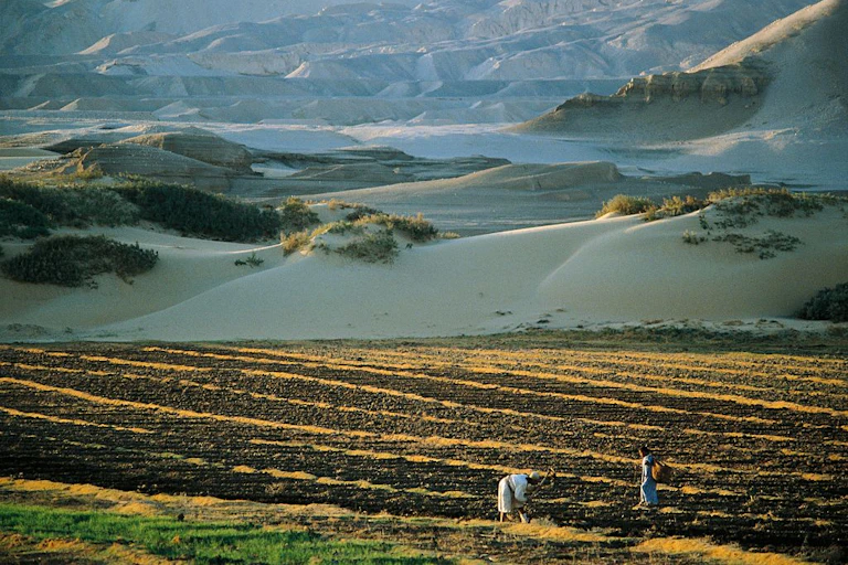 Farmers working the land in the Western Sahara, Egypt.