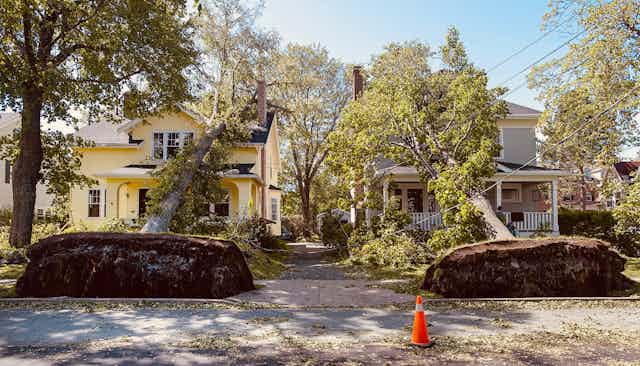 two fallen trees lying on neighbouring homes