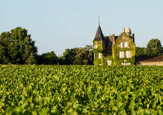 A chateau overlooking a vineyard in Bordeaux