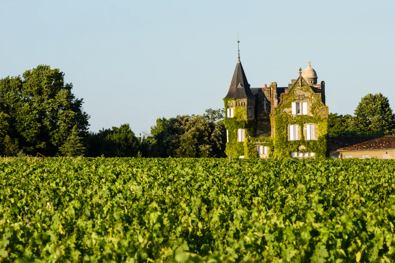 A chateau overlooking a vineyard in Bordeaux
