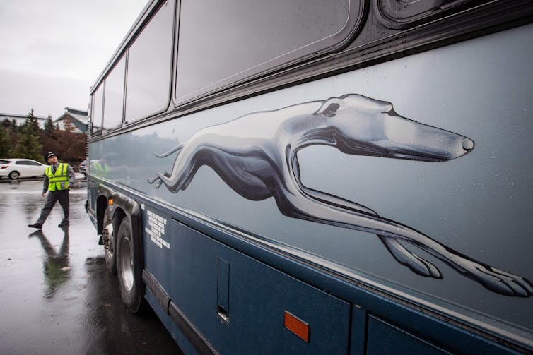 Close-up view of greyhound logo illustration on the side of a bus
