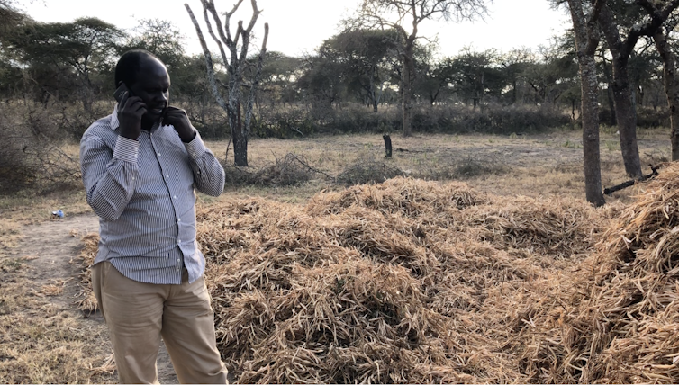 'Wrong number? Let's chat' Maasai herders in East Africa use misdials to make connections