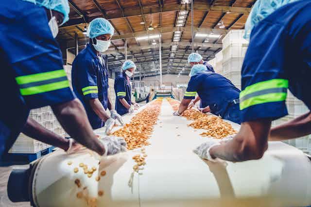 a dry cereal production line with workers and grain
