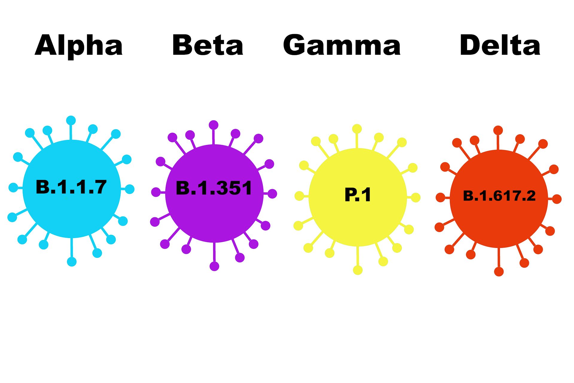 COVID 19 Delta Variant In Canada FAQ On Origins Hotspots And Vaccine   File 20210616 25 1ssmz6b 