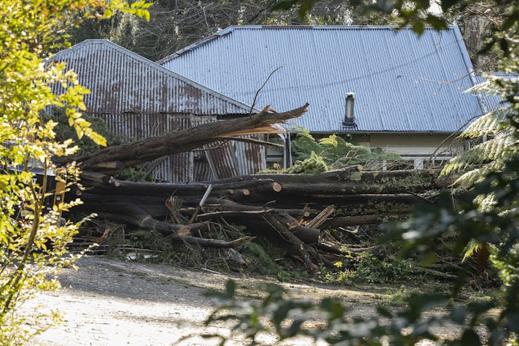 Damaged house