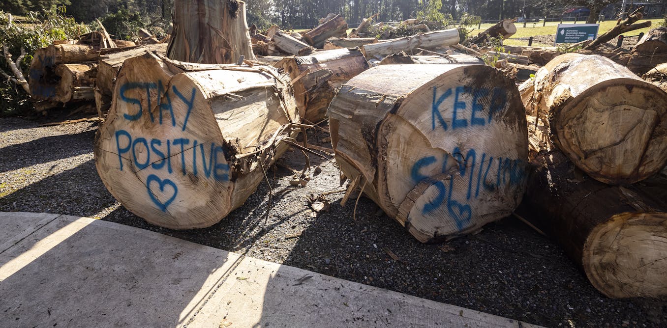 Victoria's wild storms show how easily disasters can threaten our water supply - The Conversation AU