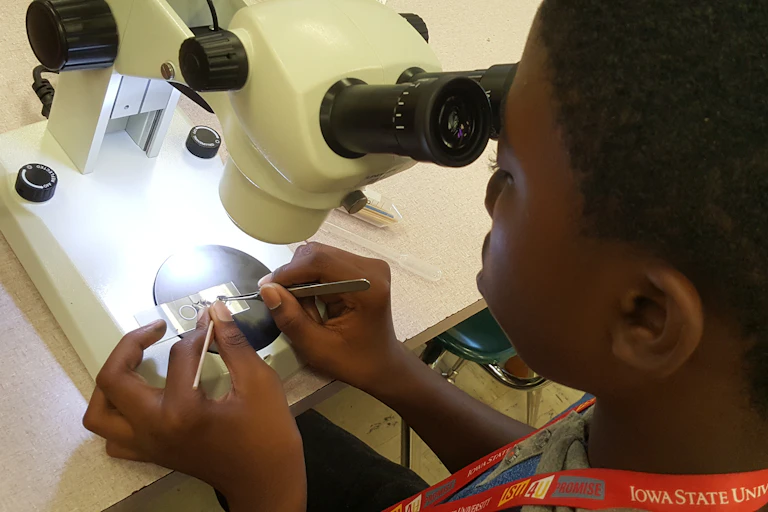 A young Black boy dissects a mosquito under a microscope.