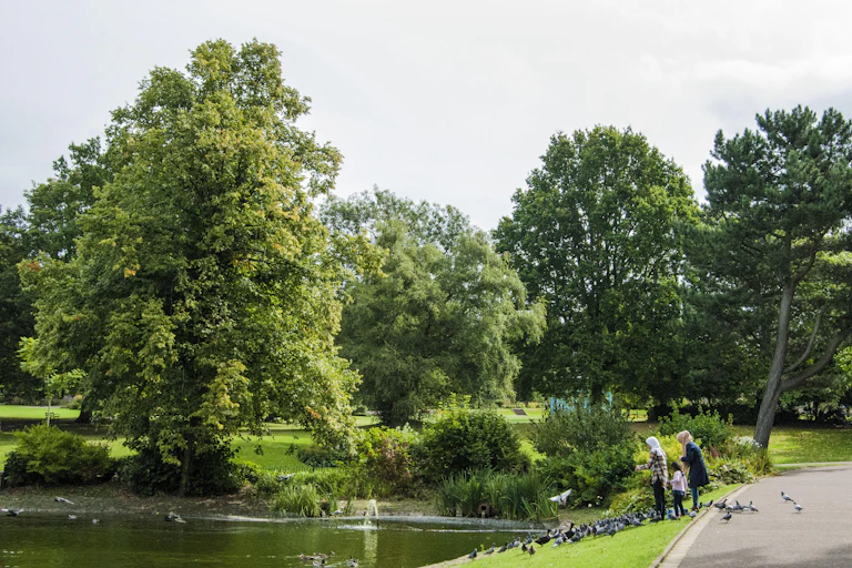A family feeds ducks by a pond
