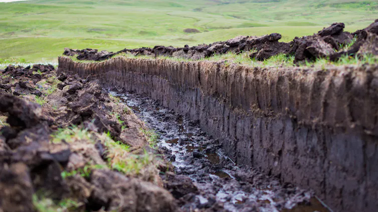 A ditch dug in a peat bog.