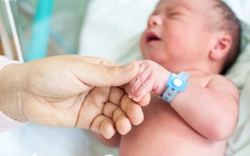 How a virtual placenta could help with early detection of at-risk babies