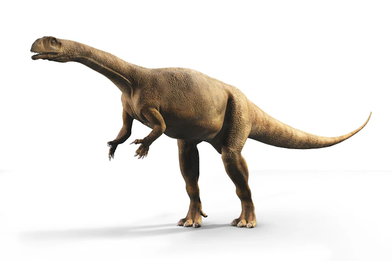 A news species of dinosaur standing.