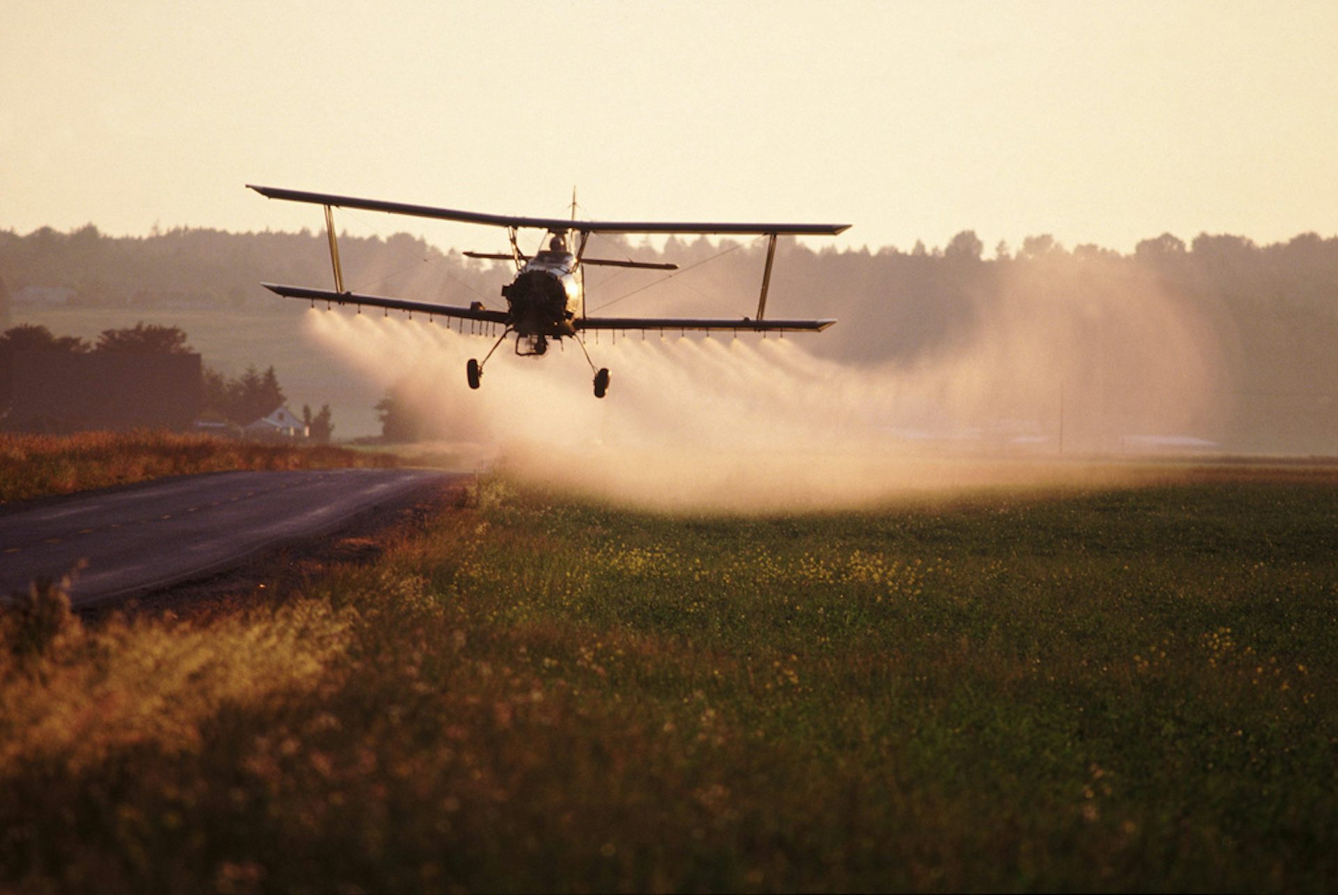Resistance shapes the discovery of new insecticides