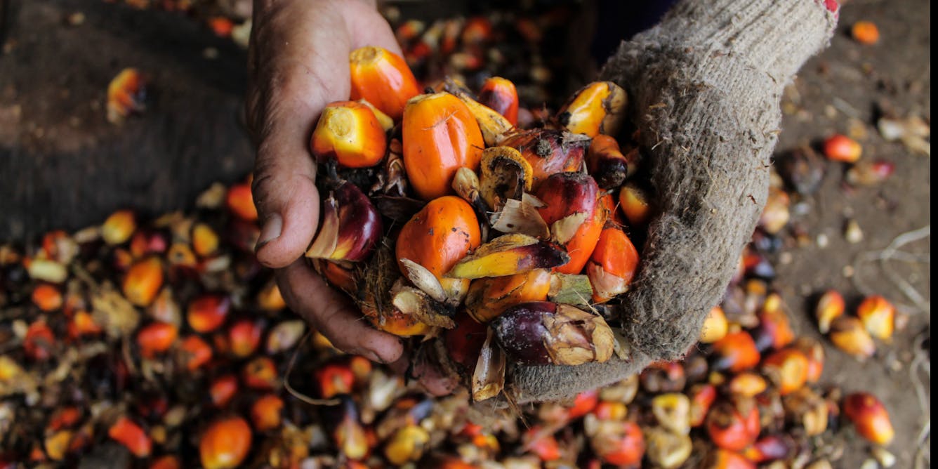 The real palm oil problem: it's not just in your food