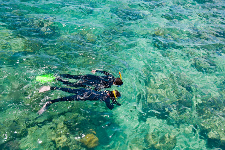 Two snorkelers