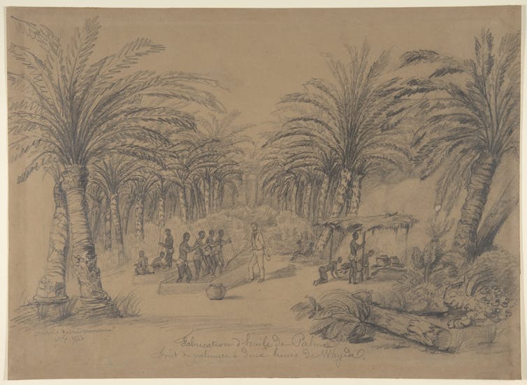 Sketch of men pounding oil palm fruit with sticks