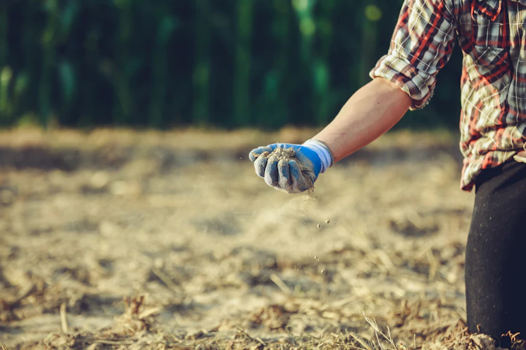 man wearing glove holds soil