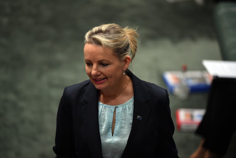 Sussan Ley caption