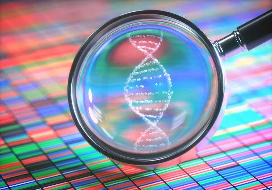 A magnifying glass is held over a backdrop of colourful, small rectangles and highlights a looped white structure that represents DNA