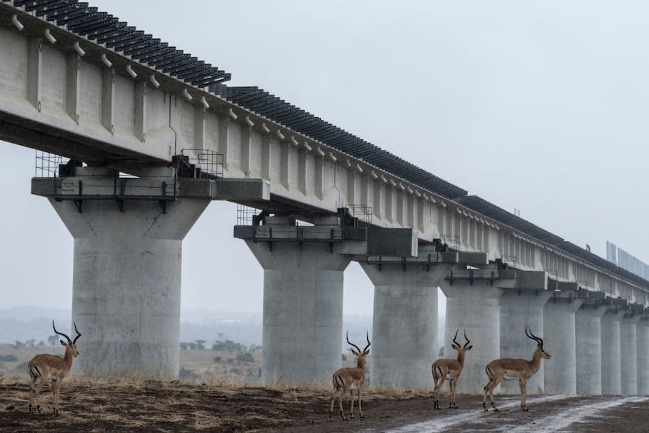 Impalas walk near the elevated railway that allows movement of animals below the tracks at the construction site of Standard Gauge Railway