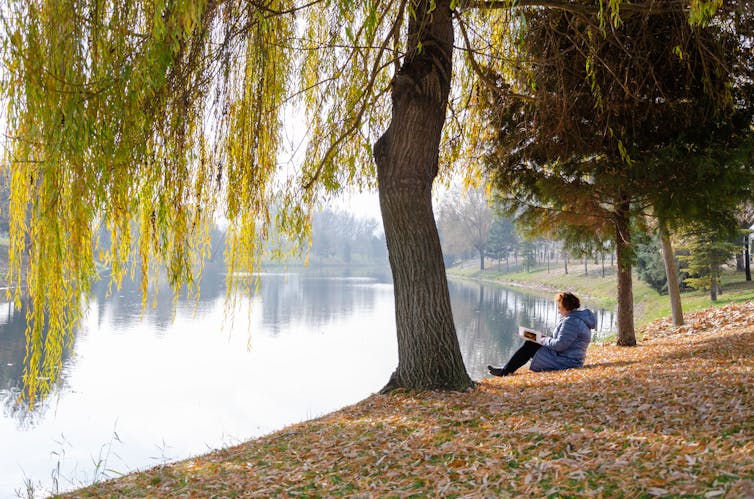 woman reading under a tree