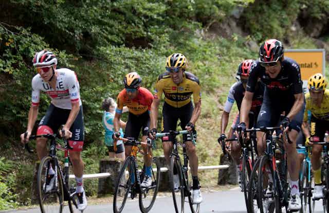 Racers in the Tour de France struggling up a hill.