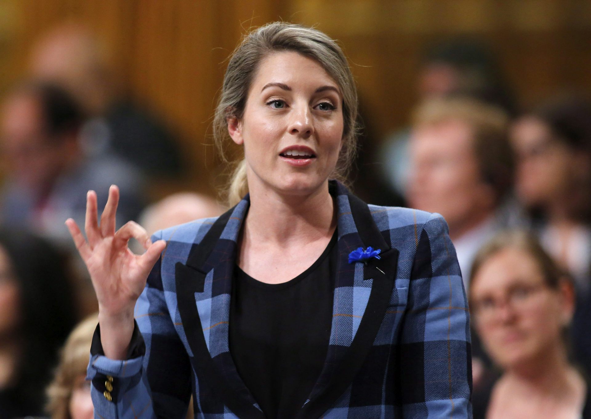 C-32 : moderniser la Loi sur les langues officielles pour mieux protéger la francophonie canadienne - Vimarsana News
