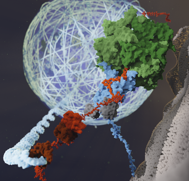 Artistic rendering of a ubiquitin-tagged stress granule being taken apart by an enzyme.