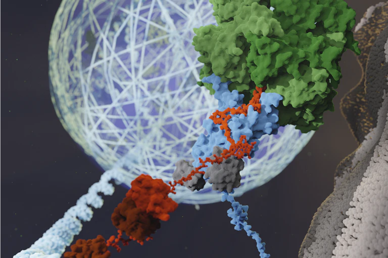 Artistic rendering of a ubiquitin-tagged stress granule being taken apart by an enzyme.