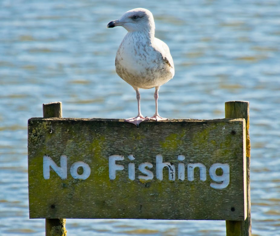 Marine conservation efforts are failing to take five key steps Marine conservation efforts are failing to take five key steps