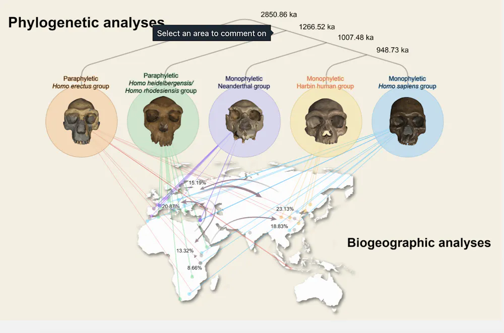 All Extinct Humans Homo longi: extinct human species that may replace Neanderthals as our ...