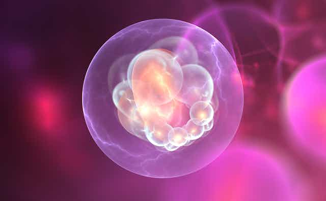 Sabemos cómo comenzó la vida en la Tierra?