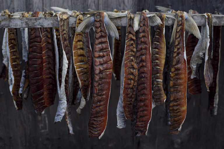 Peaux de poissons séchées