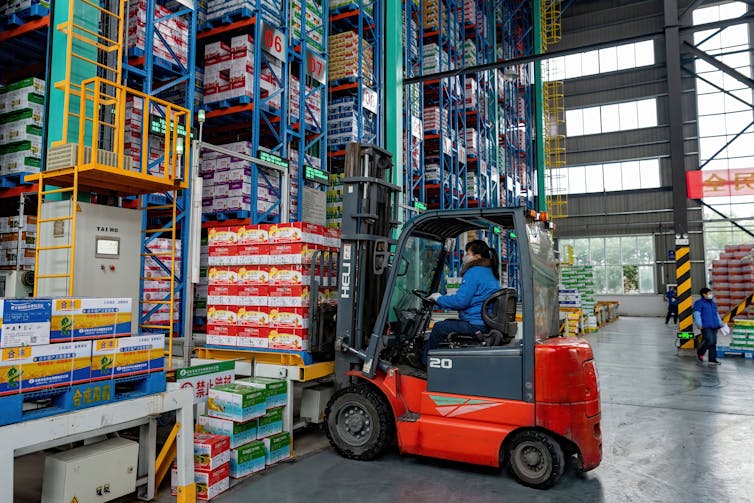 Man driving forklift loads pallets onto warehouse shelves.