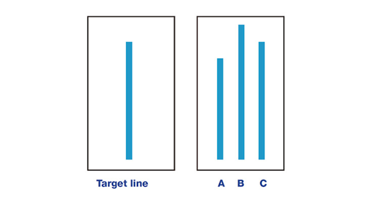 Solomon Asch's conformity experiment line comparison.