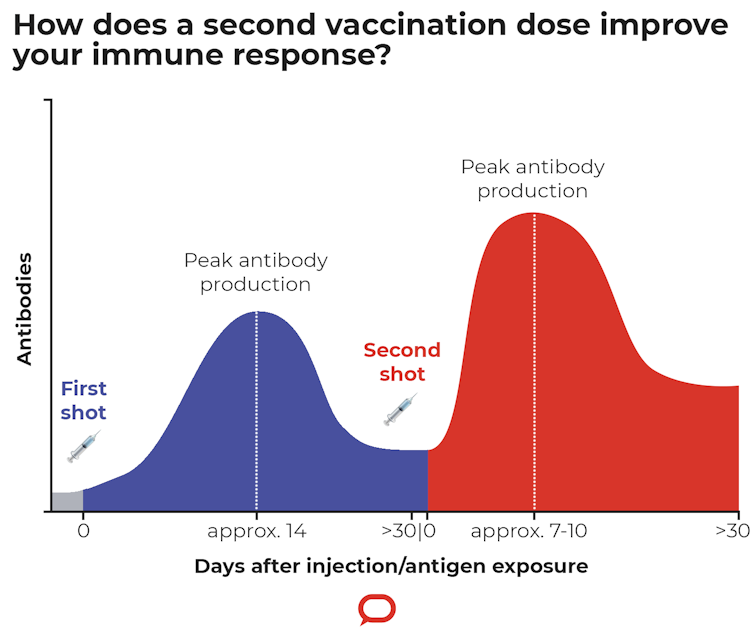 Should I have my AstraZeneca booster shot at 8 weeks rather than 12? Here's the evidence so you can decide