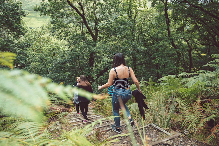 Photos de gens se promenant en forêt