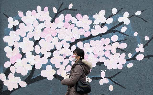 A woman wearing a face mask walks past a mural depicting pink cherry blossoms.