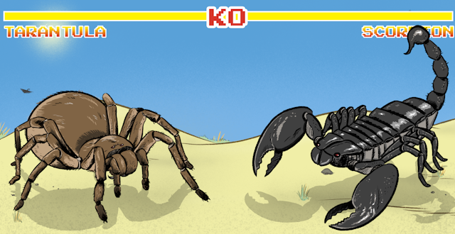 Ever wondered who'd win in a fight between a scorpion and