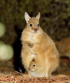 Mala with baby in pouch