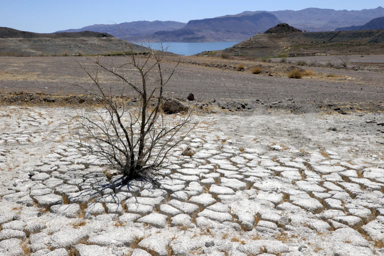 Lake Mead is seen in the distance behind a dead creosote bush in an area of dry, cracked earth that used to be underwater near where the Lake Mead Marina was once located on June 12, 2021 in the Lake Mead National Recreation Area, Nevada.