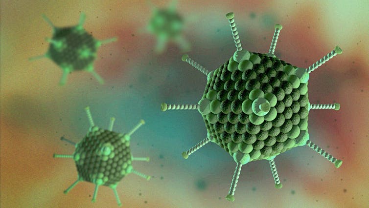 A illustration of adenovirus particles