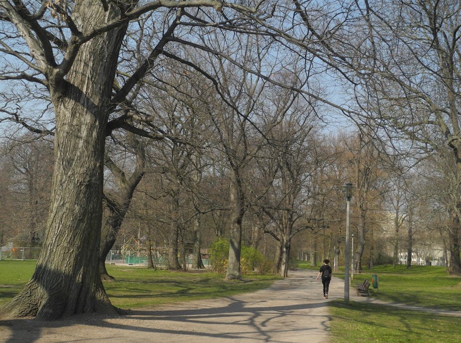Person walking in a park.