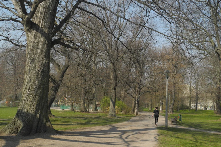 Person walking in a park.