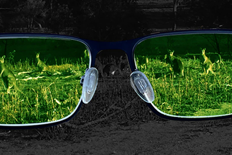 Gafas a través de las que pueden verse canguros