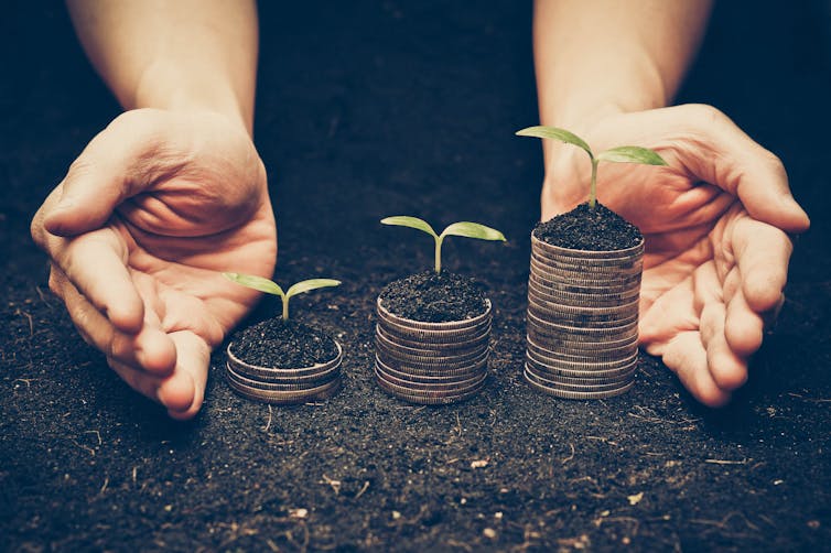 hands with coins sprouting seedlings