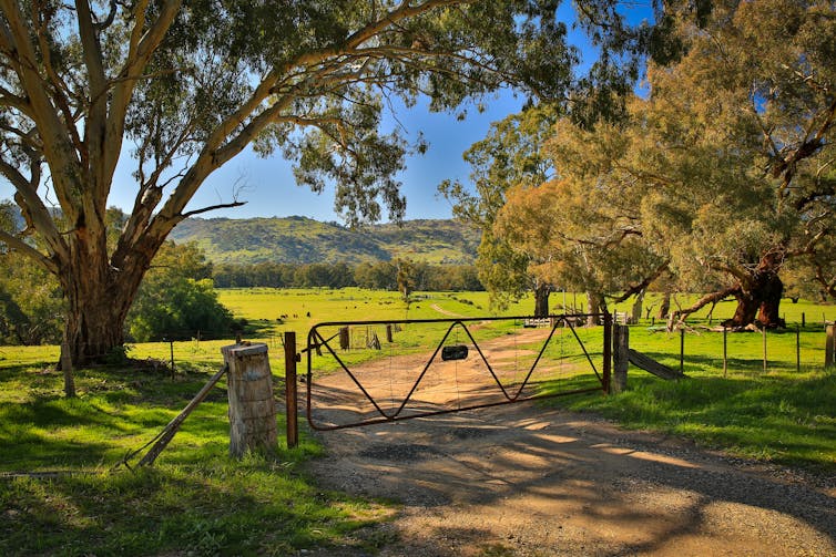 gate in rural landscape
