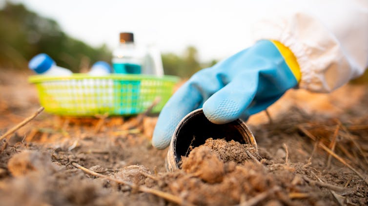 gloved hand takes soil sample with bottles in background